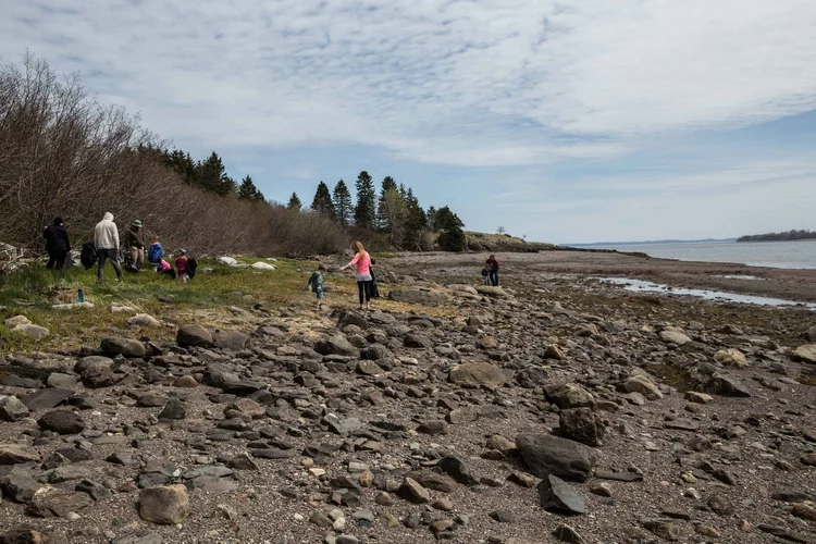 Paddlefest Beach Cleanup